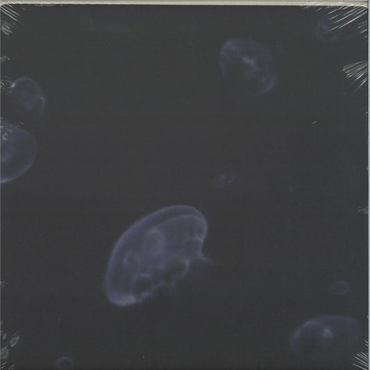 Feral - Crossroads (VINYL 12" Hypnus) | NEW - TECHNO/DEEP *NEW*