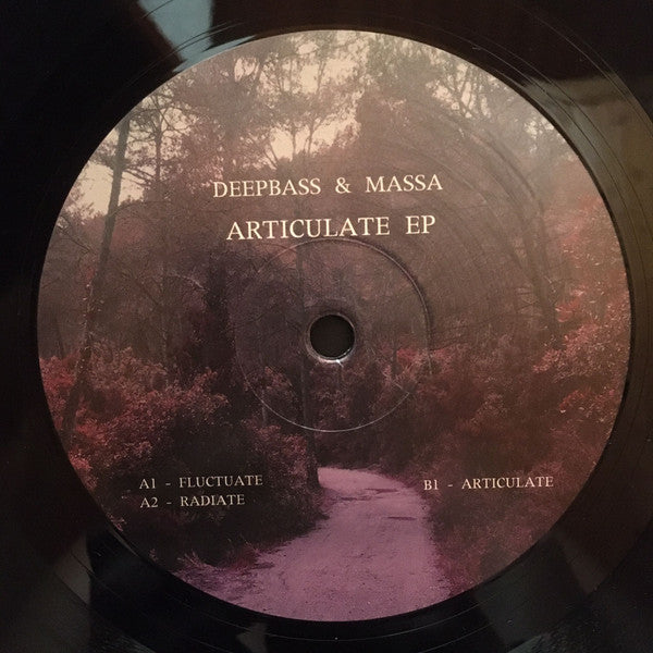Articulate EP (VINYL) | Mint (M) Generic - TECHNO/DEEP *NEW*