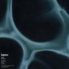(PRE-ORDER 10/10/25) Radiolaria (VINYL 12") | Mint (M) Mint (M) - TECHNO/DEEP *NEW*