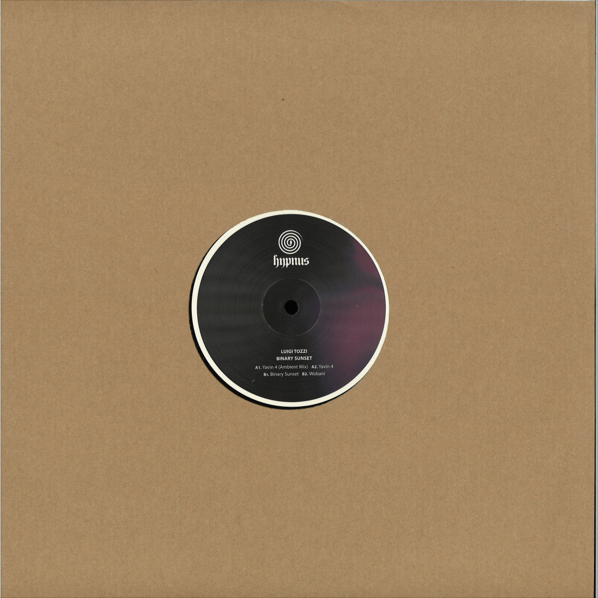 Luigi Tozzi - (PRESALE 09/02/26) Binary Sunset (VINYL 12" Hypnus) | NEW Mint (M) Mint (M) - TECHNO/DEEP *NEW*