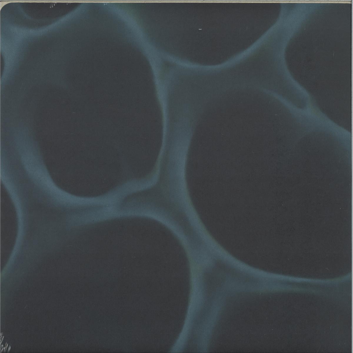 BLNDR - Radiolaria (VINYL 12" Hypnus) | NEW Mint (M) Mint (M) - TECHNO/DEEP *NEW*
