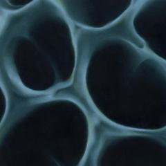 (PRE-ORDER 10/10/25) Radiolaria (VINYL 12") | Mint (M) Mint (M) - TECHNO/DEEP *NEW*
