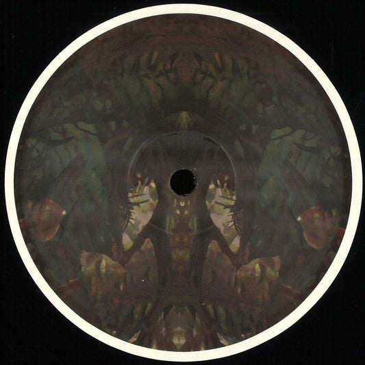 Birds ov Paradise - (PRESALE 10/9/26) Bayou (VINYL 12" Hypnus) | NEW - TECHNO/DEEP *NEW*