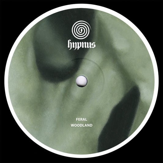 Woodland (VINYL 12") | Mint (M) Mint (M) - TECHNO/DEEP *NEW*
