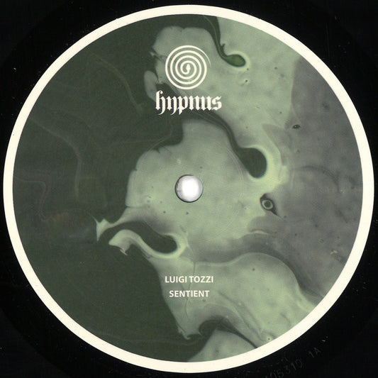 Luigi Tozzi - Sentient [Repress] (VINYL 12" Hypnus) | NEW - TECHNO/DEEP *NEW*
