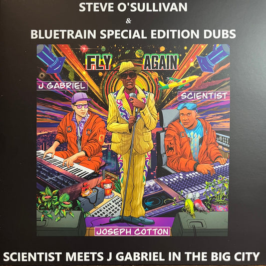 Fly Again Dub Remixes (VINYL) | Mint (M) Mint (M) - TECHNO/DUB *NEW*