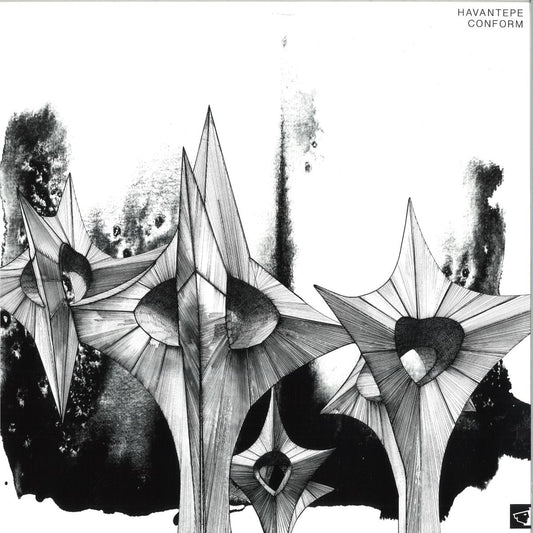 Havantepe - Conform (VINYL 12" Berg Audio) | NEW - TECHNO/DUB *NEW*