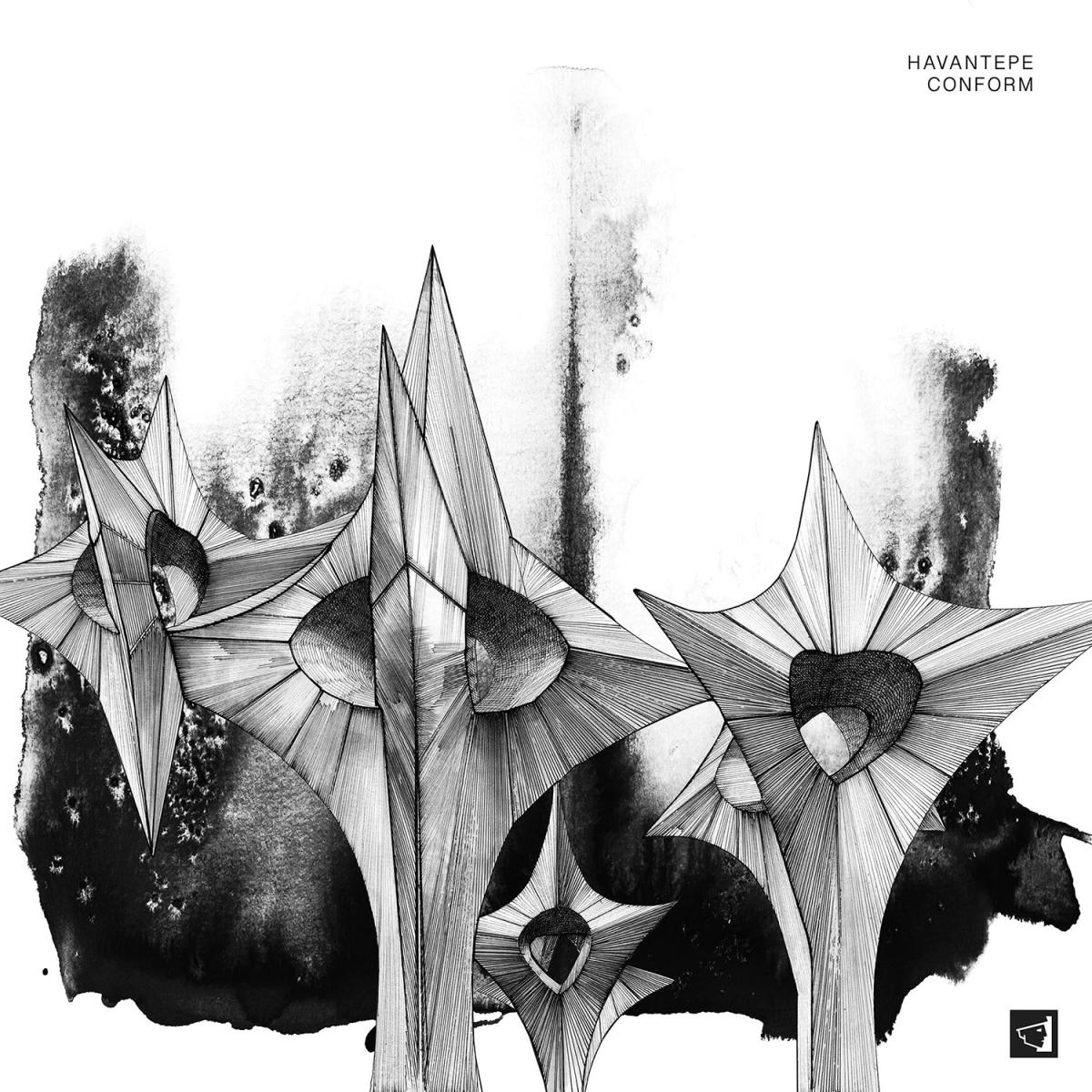 Havantepe - (PRESALE 10/1/26) Conform (VINYL 12" Berg Audio) | NEW - TECHNO/DUB *NEW*
