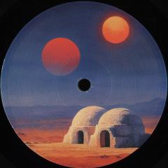 Transient States. Feedback (VINYL 12") | Mint (M) Mint (M) - TECHNO/DUB *NEW*