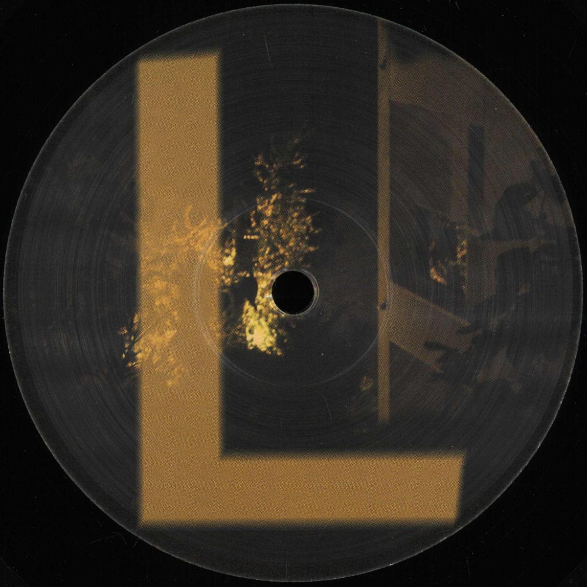 Various - Robot Says L (VINYL 12" What Robot Says) | NEW - TECHNO/DUB *NEW*