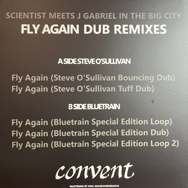 Fly Again Dub Remixes (VINYL) | Mint (M) Mint (M) - TECHNO/DUB *NEW*