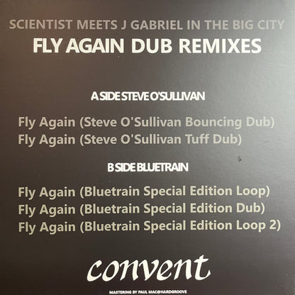 Fly Again Dub Remixes (VINYL) | Mint (M) Mint (M) - TECHNO/DUB *NEW*