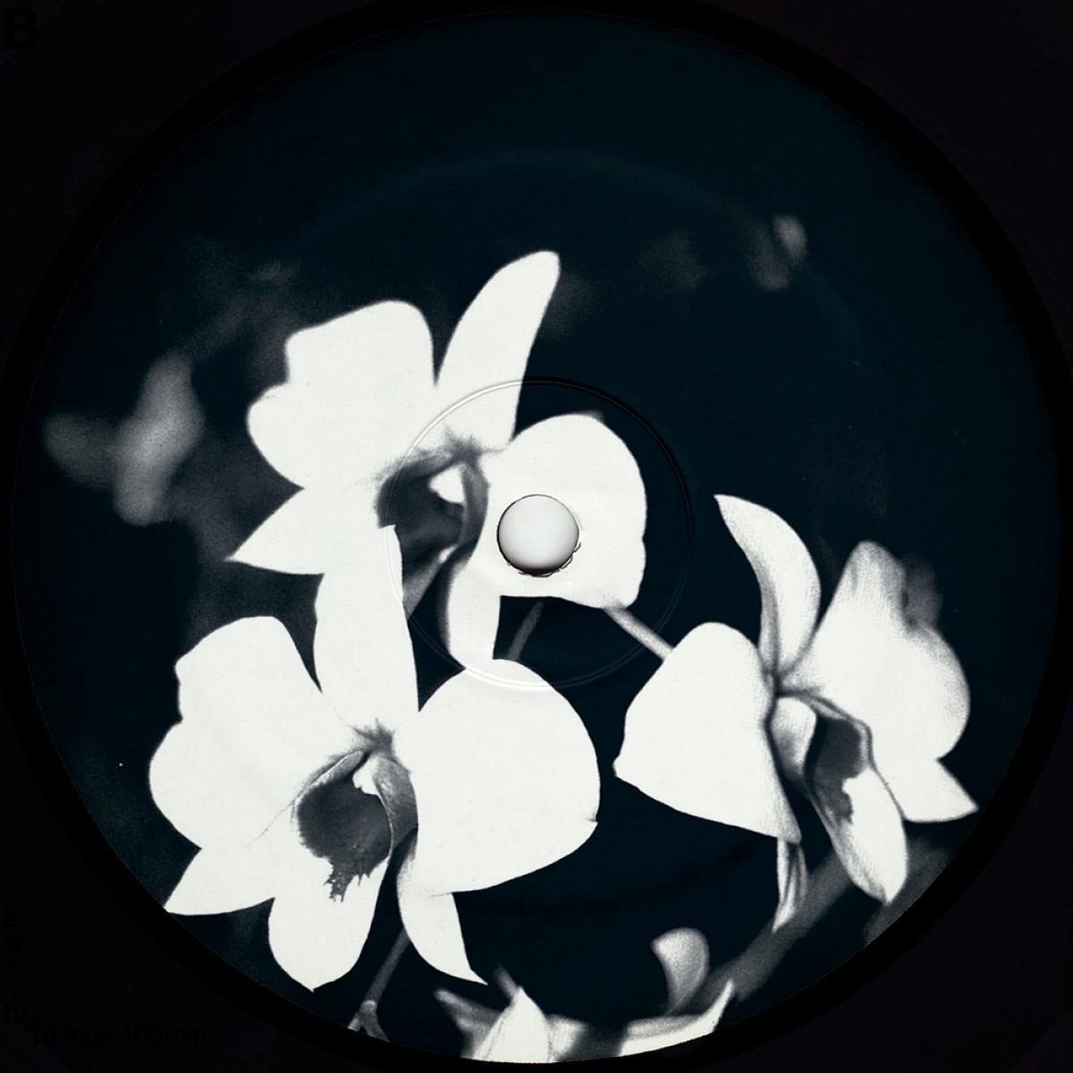Ovatow - (PRESALE 7/9/26) Phalaenopsis Revisited (VINYL) | Mint (M) Mint (M) - TECHNO/DUB *NEW*