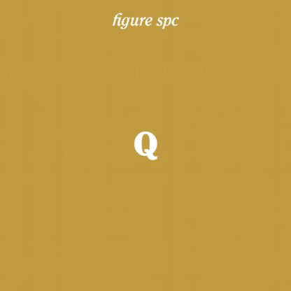 Johannes Heil - Figure SPC Q | Excellent (EX) Near Mint (NM) - TECHNO/DUB / USED *EXCELLENT*