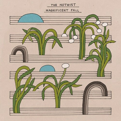 (PRE-ORDER 1/2/26) Magnificent Fall (2xVINYL) | - TECHNO/ELECTRO *NEW*