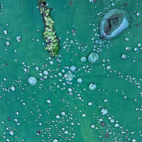 (PRE-ORDER 12/19/2025) Dust 1 (10" VINYL) | - TECHNO/ELECTRO *NEW*