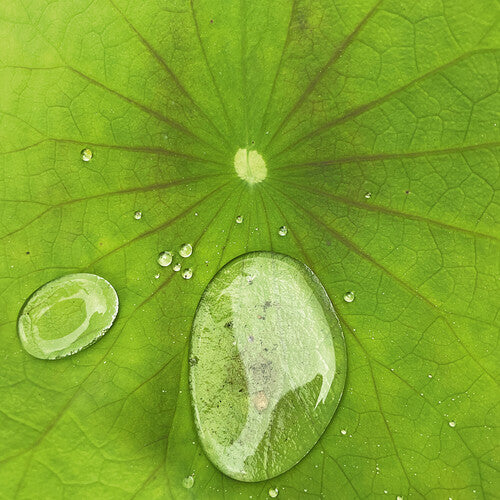 (PRE-ORDER 12/19/2025) Dust 3 (10" VINYL) | - TECHNO/ELECTRO *NEW*