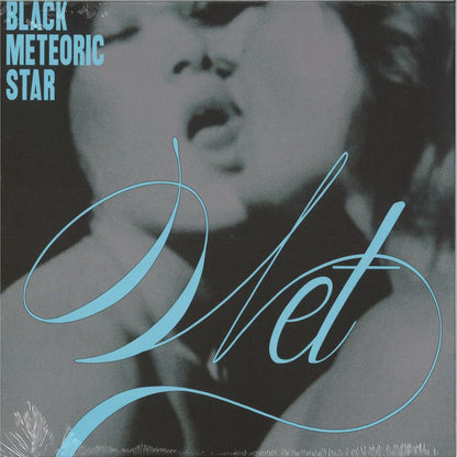 Black Meteoric Star - Wet (VINYL LP Dark Entries) | NEW - TECHNO/ELECTRO *NEW*