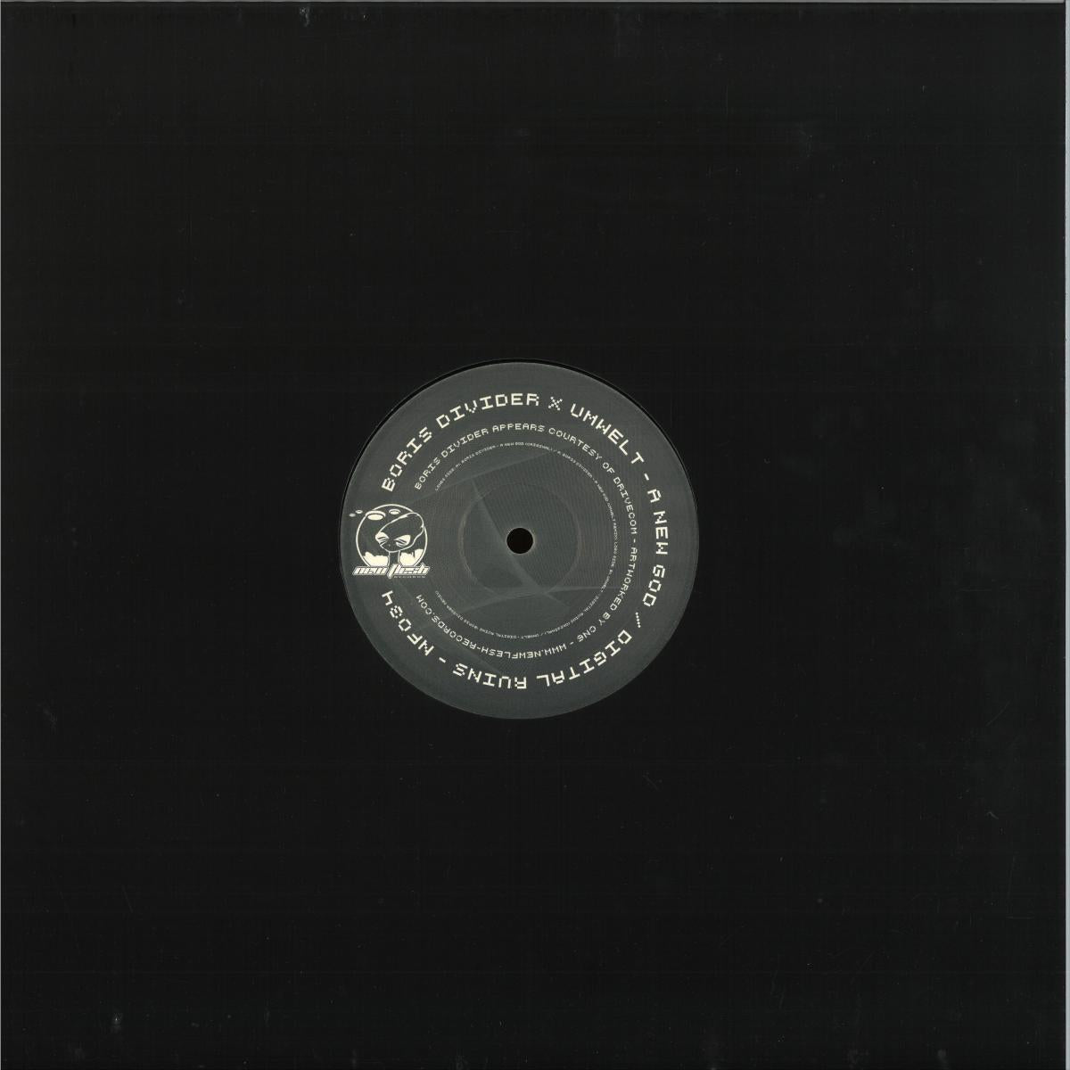 Umwelt & Boris Divider - A New God / Digital Ruins (VINYL 12" New Flesh NF34 2026) | NEW - TECHNO/ELECTRO *NEW*