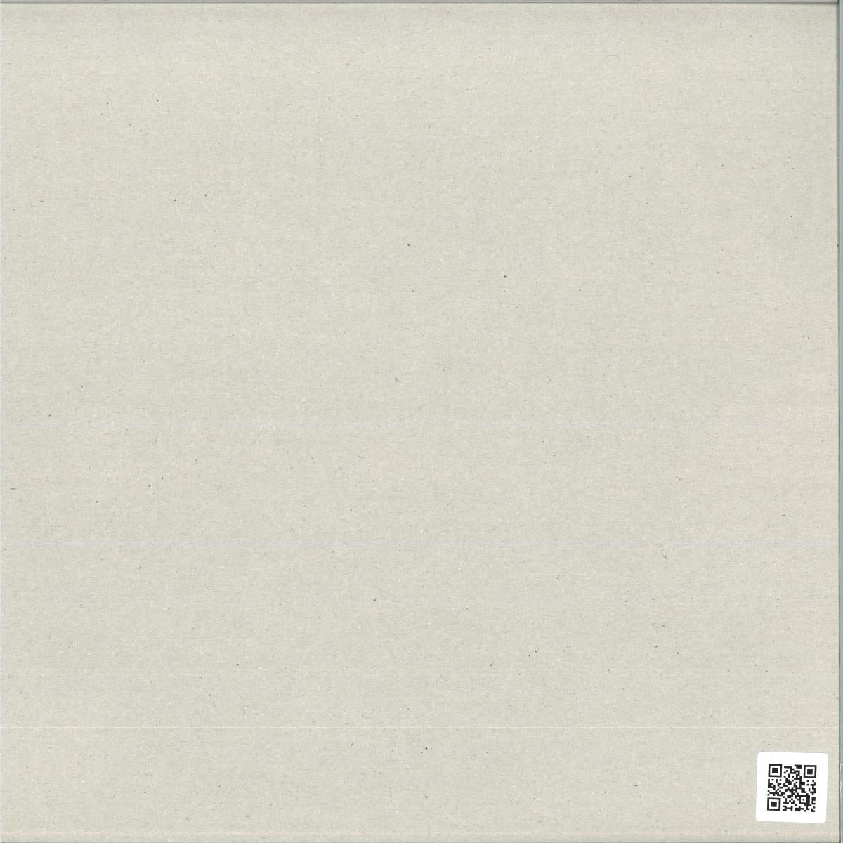 Fleck ESC - Interior Reset (VINYL 12" Pyramid Transmissions) | NEW - TECHNO/ELECTRO *NEW*