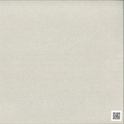 Fleck ESC - Interior Reset (VINYL 12" Pyramid Transmissions) | NEW - TECHNO/ELECTRO *NEW*