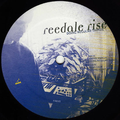 Doing Regular Things (PINK VINYL) | - TECHNO/ELECTRO *SEALED/COLOR*