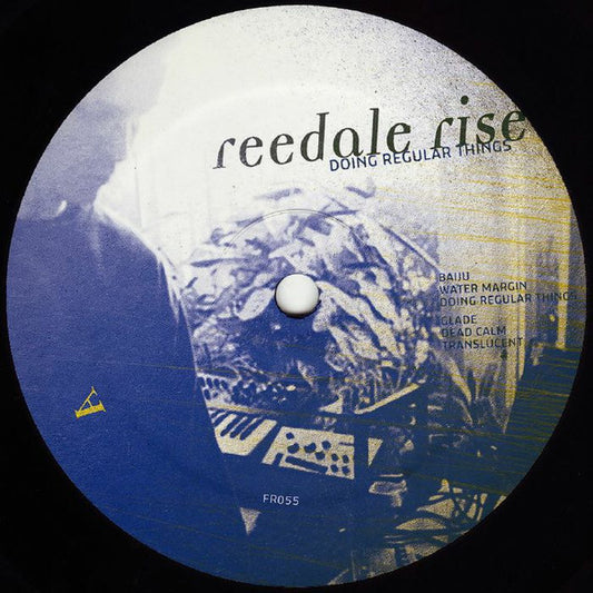 Doing Regular Things (PINK VINYL) | - TECHNO/ELECTRO *SEALED/COLOR*
