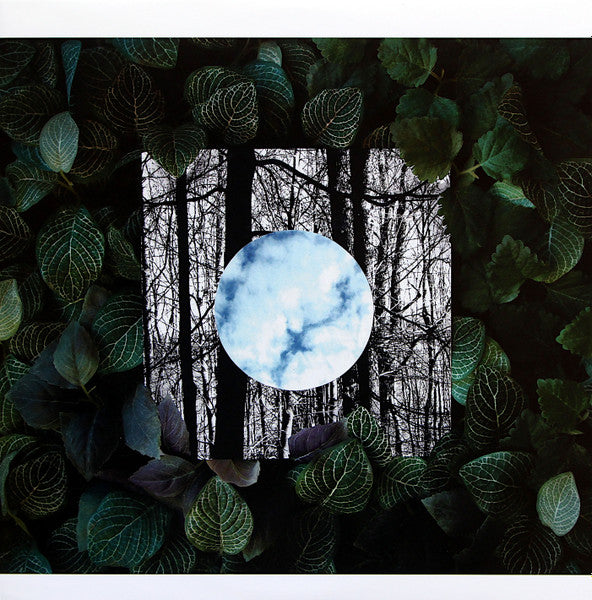Gradual Blending (CLEAR VINYL) | Mint (M) Mint (M) - TECHNO *NEW/COLOR*