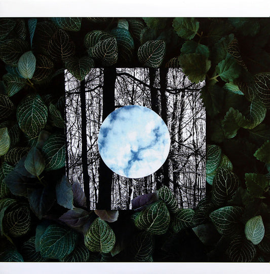 Gradual Blending (CLEAR VINYL) | Mint (M) Mint (M) - TECHNO *NEW/COLOR*