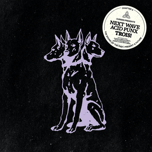 (PRESALE 5/6/26) NEXT WAVE ACID PUNX TROIS - CHAPTER 3 (2xVINYL) | Mint (M) Mint (M) - TECHNO *NEW*