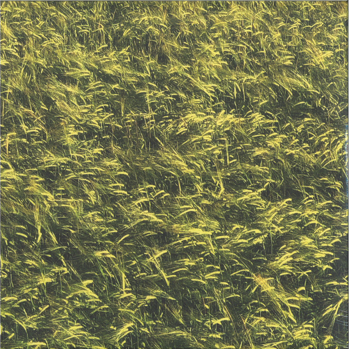 Skee Mask - Pool (VINYL 3xLP Ilian Tape) | NEW - TECHNO *NEW*