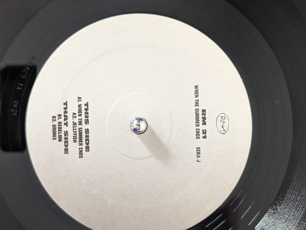 When The Summer Ends (VINYL) | Mint (M) Mint (M) - TECHNO *NEW*