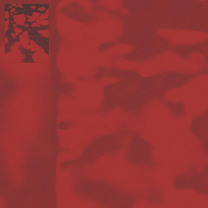 Decka - (PRESALE 11/6/26) Havoc (VINYL 12" Hayes) | NEW - TECHNO *NEW*