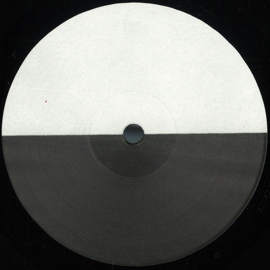 Decoder - Anutva (VINYL 12" Delsin) | NEW - TECHNO *NEW*
