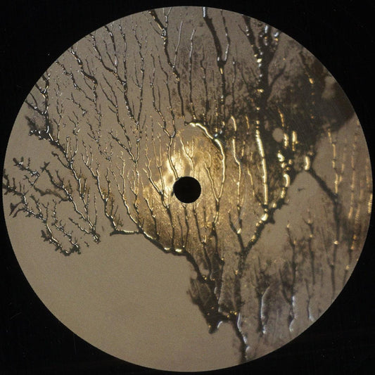 When Time Stopped (VINYL) | Mint (M) Mint (M) - TECHNO *NEW*