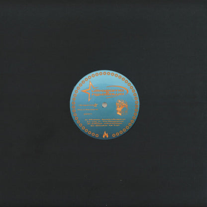 Fire in the home (VINYL) | Mint (M) Mint (M) - TECHNO *NEW*