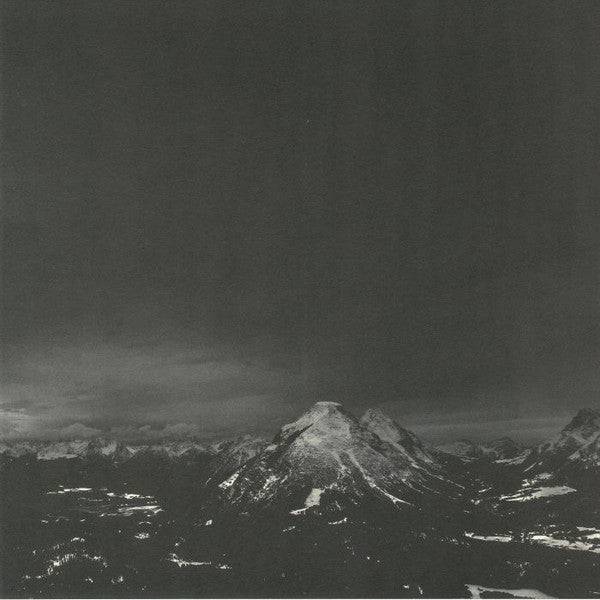 Shred (2X Vinyl) | Mint (M) Mint (M) - TECHNO *NEW*