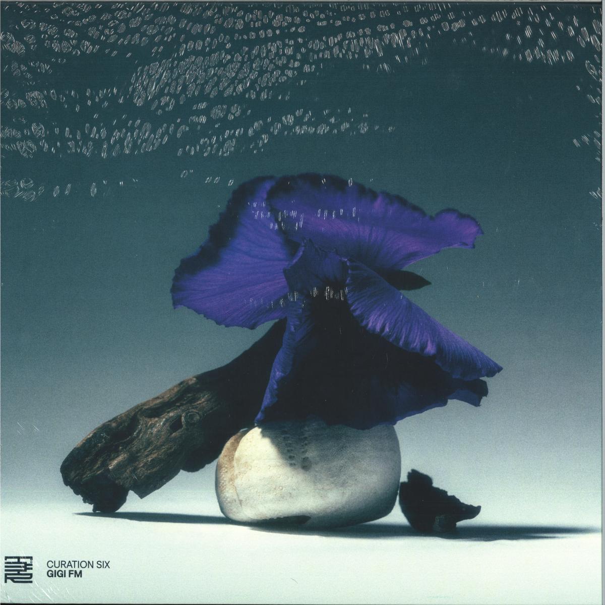 Various - Curation Six: GiGi FM (VINYL 12" The Third Room) | NEW - TECHNO *NEW*