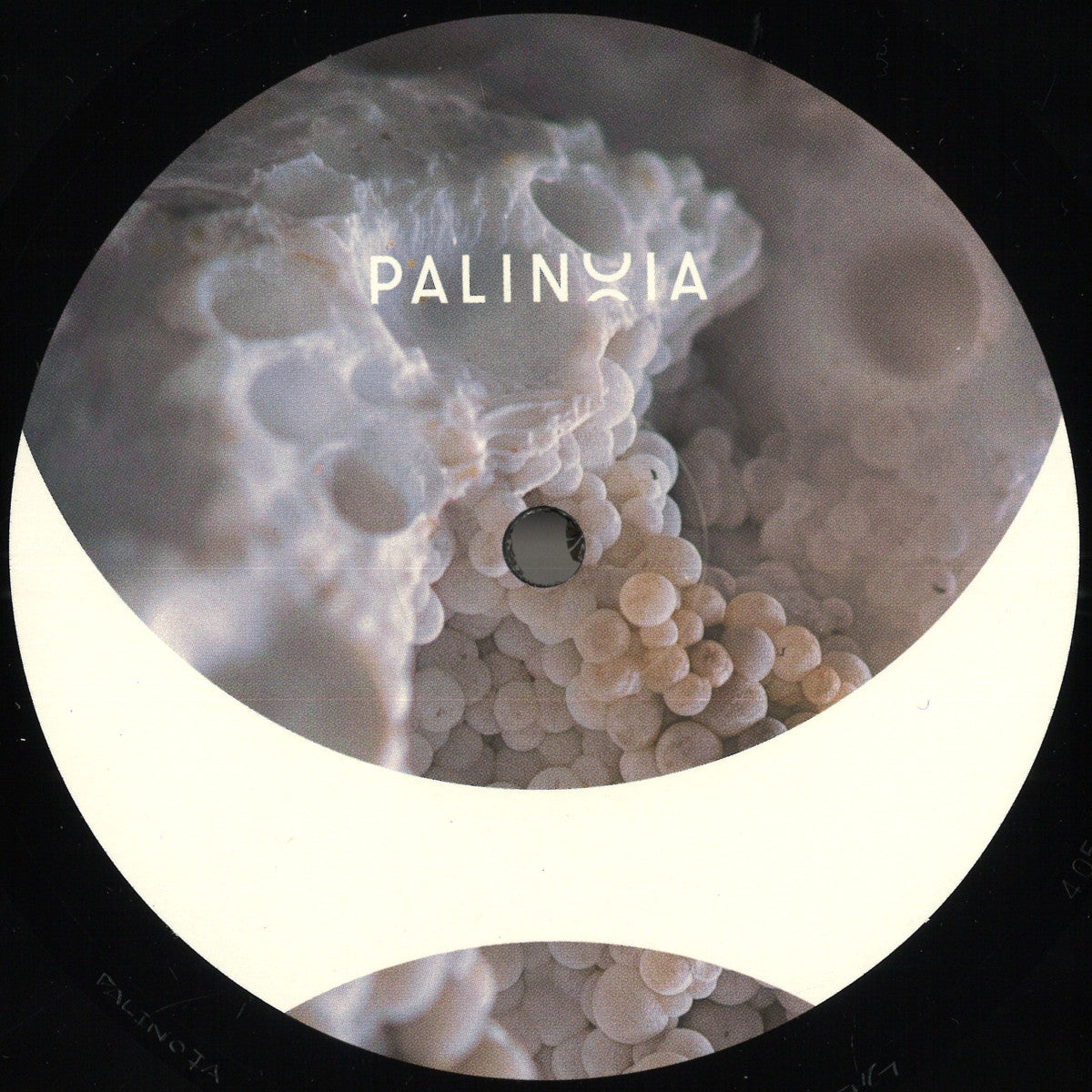 Eric Cloutier - Perpetual Booty Grooves Vol.1 (VINYL 12" Palinoia) | NEW Mint (M) Generic - TECHNO *NEW*
