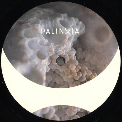 Eric Cloutier - Perpetual Booty Grooves Vol.1 (VINYL 12" Palinoia) | NEW Mint (M) Generic - TECHNO *NEW*