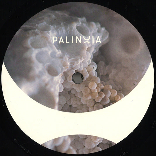 Eric Cloutier - Perpetual Booty Grooves Vol.1 (VINYL 12" Palinoia) | NEW Mint (M) Generic - TECHNO *NEW*