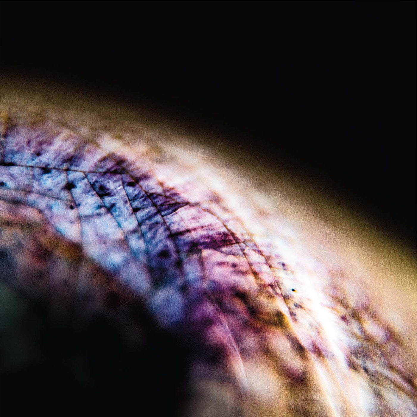 Emptyset - Skin (12" VINYL) | - TECHNO *NEW*