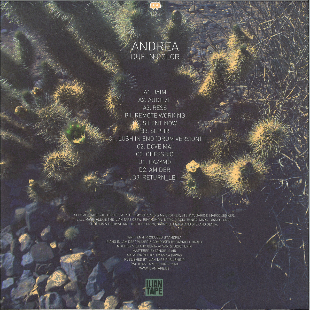 Andrea - Due In Color (VINYL 2xLP Ilian Tape) | NEW Mint (M) Mint (M) - TECHNO *NEW*