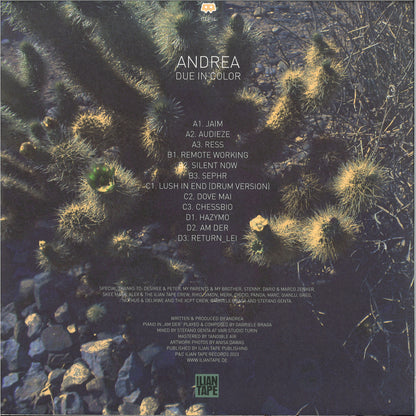 Andrea - Due In Color (VINYL 2xLP Ilian Tape) | NEW Mint (M) Mint (M) - TECHNO *NEW*