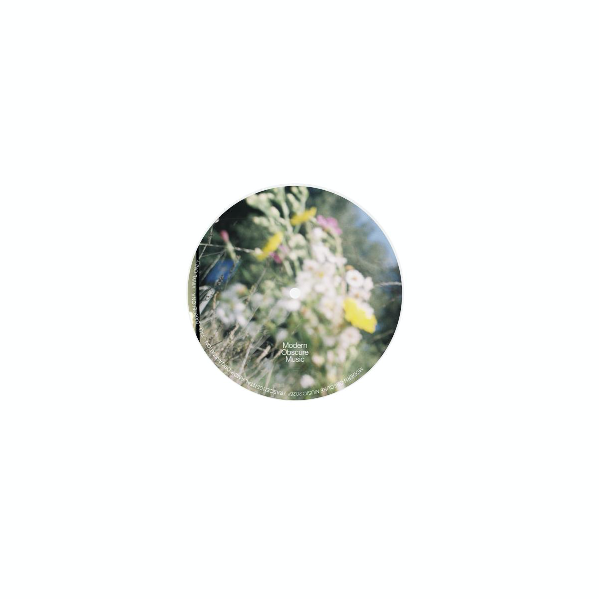 (PRESALE) TAO (VINYL) | Mint (M) Mint (M) - TECHNO *NEW*