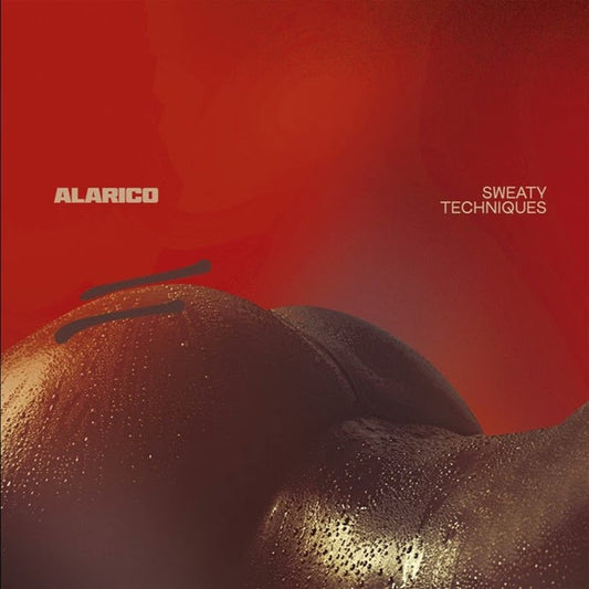 Sweaty Techniques (2xVINYL) | Mint (M) Mint (M) - TECHNO *NEW*