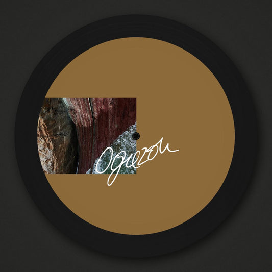 Deano - (PRESALE 11/6/26) Reasons (VINYL 12" Ogazon) | NEW - TECHNO *NEW*