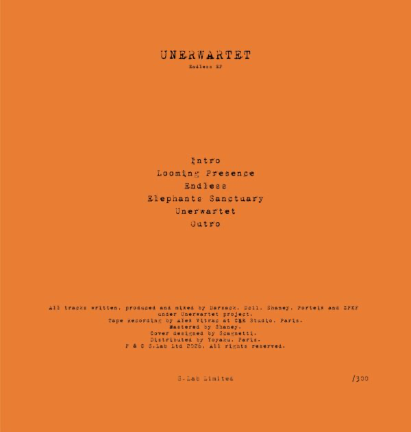 (PRESALE 4/27/26) Endless EP (VINYL) | Mint (M) Mint (M) - TECHNO *NEW*