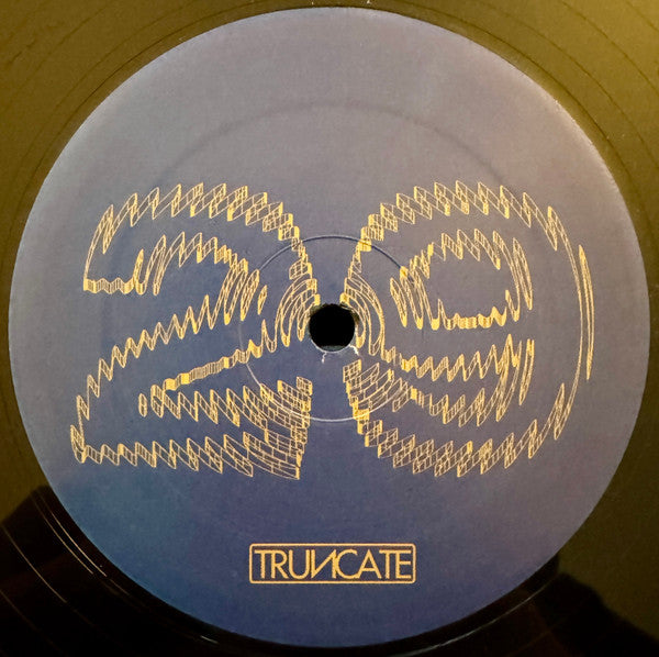Truncate - Forgotten (VINYL) | Mint (M) Generic - TECHNO *NEW*