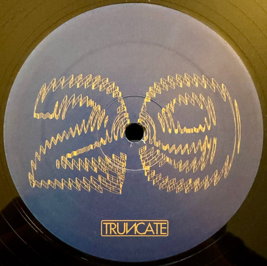 Truncate - Forgotten (VINYL) | Mint (M) Generic - TECHNO *NEW*